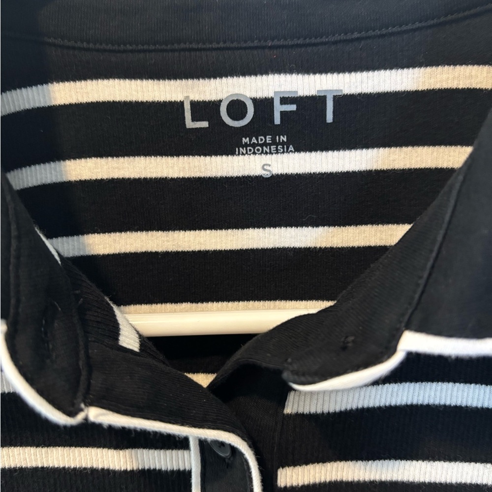 Loft Ribbed Polo - Picture 2 of 4